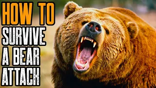 HOW TO SURVIVE A BEAR ATTACK | BEST TIPS TO SURVIVE A GRIZZLY BEAR ATTACK