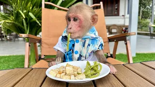 Bibi harvesting asparagus asked Dad combine cooking with tofu