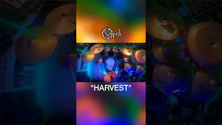 🔥Drum Cover of "Harvest" by Opeth #shorts #drumcover #drums #metal #heavymetal #opeth