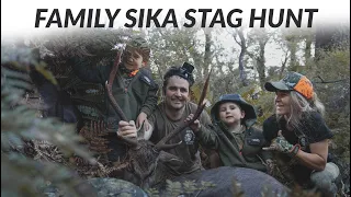 FAMILY SIKA STAG HUNT NZ