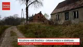 Brzeźnica - wyludniona wieś - ciekawe miejsca w obiektywie