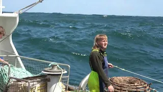 CRAYFISHING ON THE WESTCOAST OF TASMANIA. NEW SHELLERS 2023.