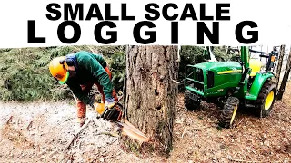 SMALL SCALE LOGGING 2023