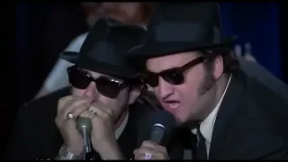 The Blues Brothers - Everybody needs somebody to love　1980　歌詞　対訳