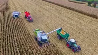 2×Claas Lexion 750 TT | 16 Reihen| 2×Überladewagen | Mais dreschen 2017 | Corn Harvest