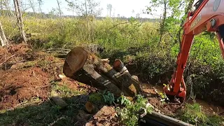 Tearing out beaver dams with the excavator 💪🏻