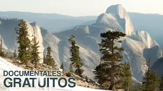 Parques nacionales estadounidenses - Yosemite