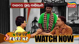 ଚାଳରେ ମୁଣ୍ଡ ବାଜିଲାଣି | Streaming Now | Papu Pom Pom | Ding Dong Excuse Me | Tarang Plus