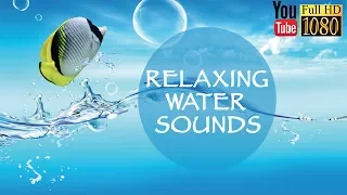1 hour 🎵 285 Hz 528 Hz 852 Hz 🎵 Soft Lounge Music 🎵 Calming Ambient Melody for Daily Relax