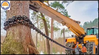 125 AMAZING Fastest Big Tree Cutting Equipment Working