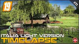 Building Farm's New Vineyard ⭐ FS19 Italia Light Version Timelapse