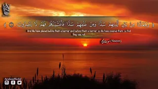 سورة ياسين يس كامله تلاوه هادئه جدا للنوم تريح القلب ❤   سبحان من رزقه هذا الصوت Surah Yasin