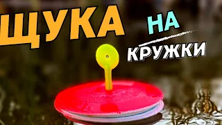 Щука на кружки Рыбалка в лучшем поселке Казахстана Родина! #щука#рыбалка#казахстан #родина #астана