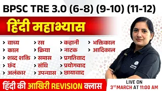 BPSC TRE 3.0 Hindi Class | Complete Hindi Preparation for Bihar Shikshak Bharti 2024 | Kalyani Ma'am