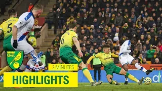 Norwich City 1-1 Crystal Palace | 2 Minute Highlights