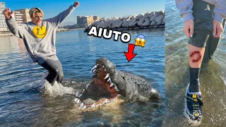 ANTO È STATO MORSO DA UN COCCODRILLO IN MARE! AIUTO!! *si è fatto male*