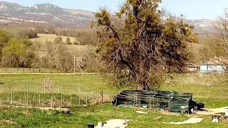 День рождения с лучшим видом в Псебае