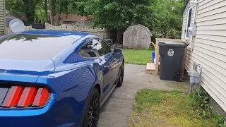 The reason I bought a Mustang GT!!