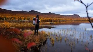 Hiking 440km on Kungsleden in Sweden