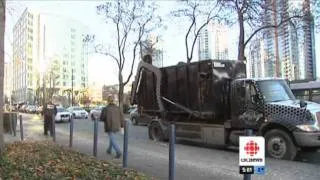 Bear in the City | CBC