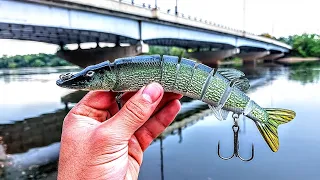 This Is Why You Throw BIG BAITS In The River! (Dream Fish!!!!)