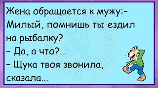 💎"Скажите, А У Вас Рыба Свежая?" Улётные Анекдоты Про Рыбалку И Рыбаков, Для Супер Настроения!