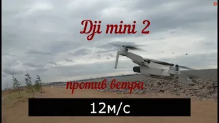 Dji mini 2 в ветреную погоду БОЛЕЕ 12м/с. Врезался в чайку