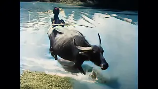 Village life in beautiful Tiruchirappalli (Trichy), Southern India in 1900 (AI enhanced & colorized)