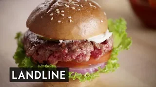 Fake Meat: the growth in popularity of artificial meat