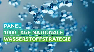 Panel: 1.000 Tage Nationale Wasserstoffstrategie