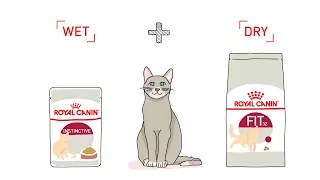 Royal Canin Mix Feeding for Cat