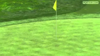 Tiger Woods Twirl