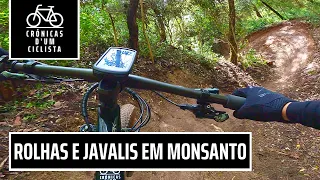 🔥 O MELHOR BTT EM MONSANTO COM OS ROLHAS E OS JAVALIS 🔥