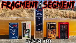 Fragmenting & Segmenting .22LR Ballistic Gel Test