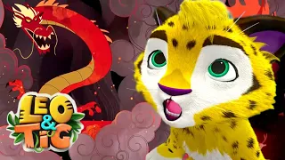 Leo y Tig 🐯 El despertar del Dragón 🦁 Super Toons TV Dibujos Animados en Español