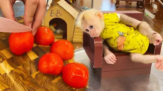 Cook help Dad! Bibi monkey is tired and doesn't want to eat rice