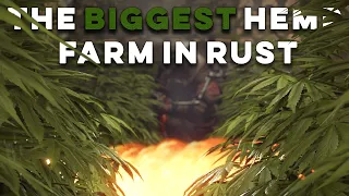 How we made the biggest hemp farm in rust!