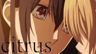 I'm with You Now | citrus