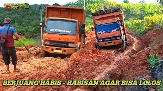 Situasi Terberat Truk Si Raja Lumpur | Truk Fuso Berjuang Habis-Habisan Agar Bisa Lolos