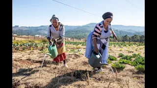 Climate Change Champions - Climate Adaptive Projects in the Eastern Cape