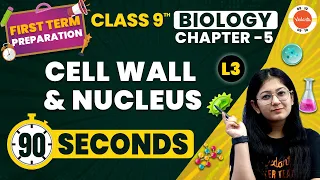Cell Wall and Nucleus Class 9 | The Fundamental Unit of Life | NCERT Class 9 Biology Ch 5 #CBSE2024