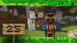 Minecraft #25 Wollen Rose kaufen?