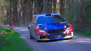 Lavanttal Rallye 2024 / Full Send / Drift / Max Attack / Mistake /