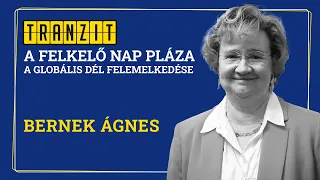 Bernek Ágnes: A felkelő nap pláza - A globális dél felemelkedése