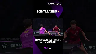 Tomokazu Harimoto at his very best 💯 #WTTChongqing #Shorts