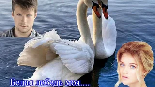 Белая лебедь моя PATRIS_любимой