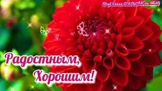 🌹Доброго Дня Отличного Настроения! Открытки Добрый День!