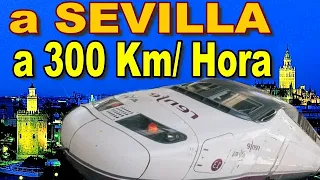 🚄 DESTINOS / HORARIOS y Precios del AVE / Cómo ir a SEVILLA en Tren desde Madrid y Barcelona / AVLO