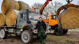 Unimog U1000 Atlas Forstkran  & U1300 L Bundeswehr | No Exhaust/Auspuff SOUND ‼️ | Maximal Gewicht