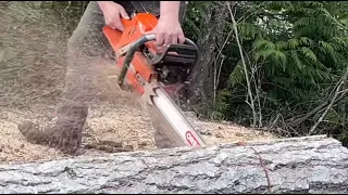 Husky 371xp  - fast cutting hand filing. and Stihl 461 vs. 462